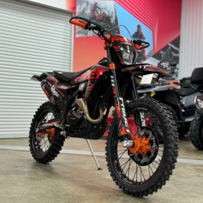 Кроссовый мотоцикл FAIDET PR300 MAX WP в Кирове