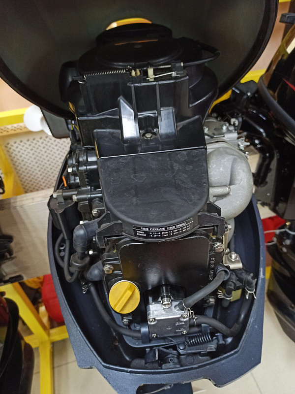 Лодочный мотор BREEZE F9,9S (4х тактный) в Кирове