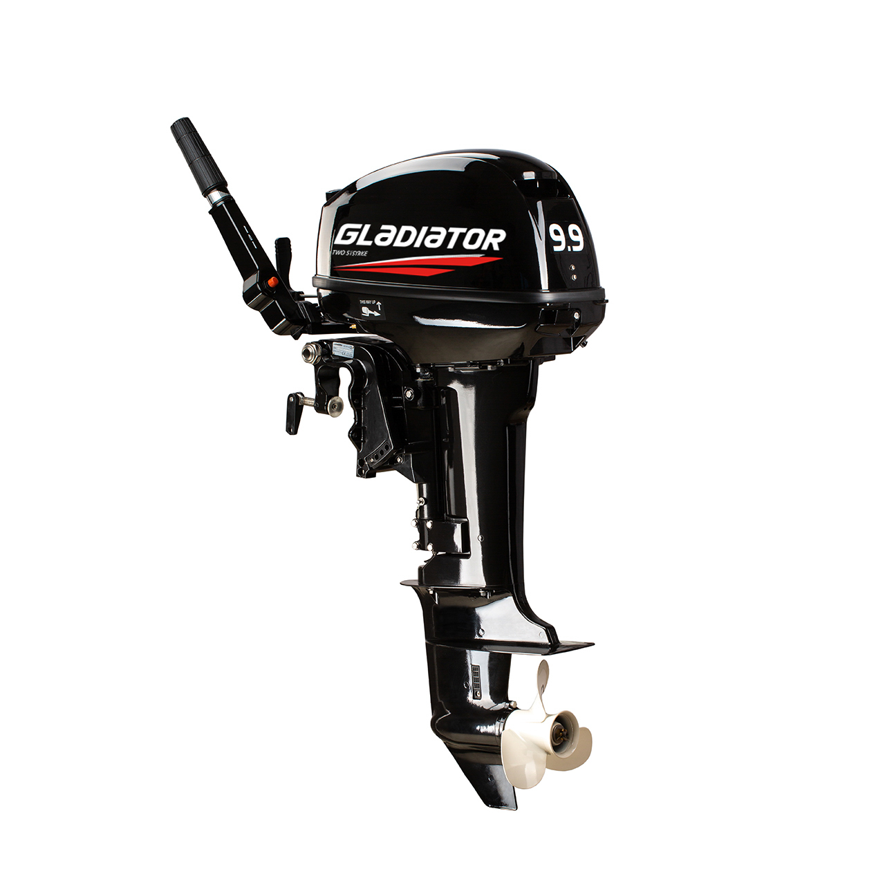 ЛОДОЧНЫЙ МОТОР GLADIATOR G9.9FHS в Кирове