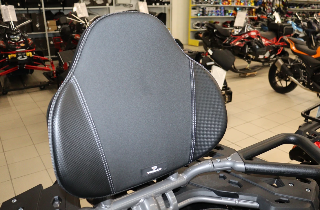 Квадроцикл PROMAX RENEGADE 300 LONG WINCH PRO (2025) в Кирове