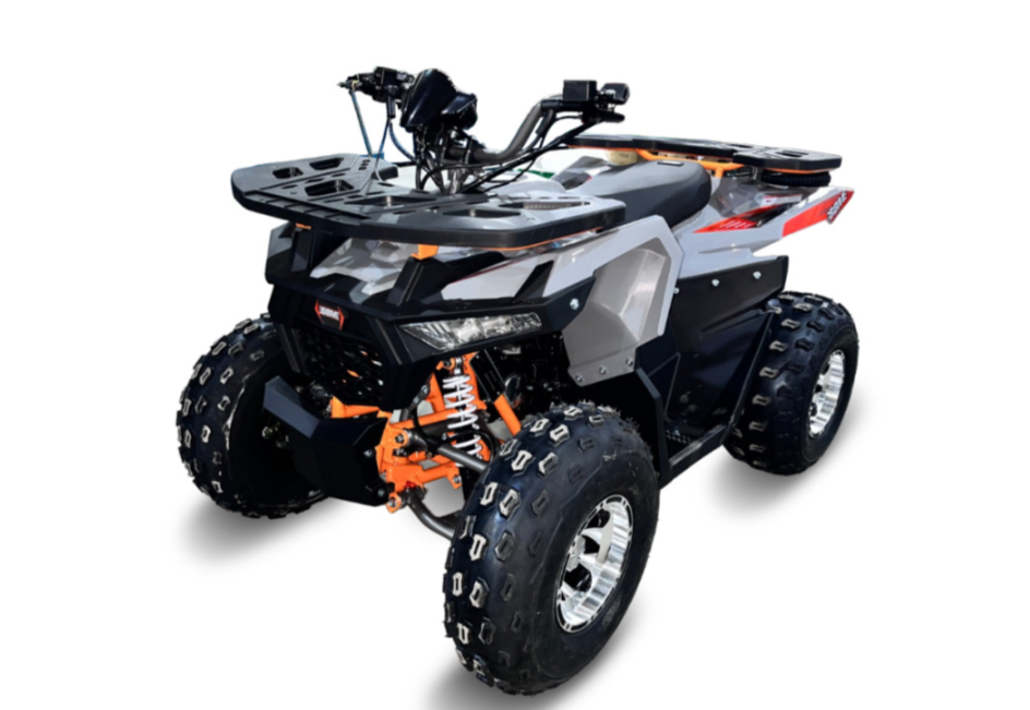 Квадроцикл GBM DAXTER 220 NEW PREMIUM в Кирове