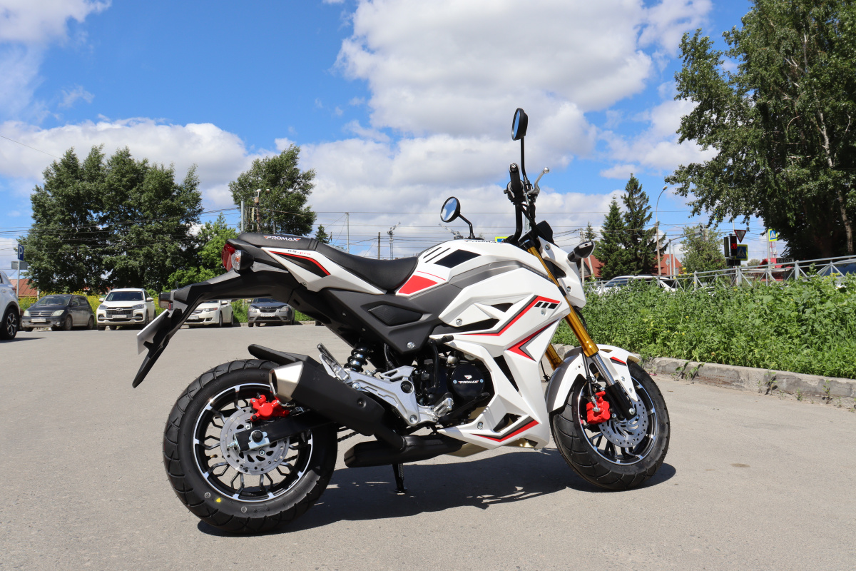 Мотоцикл PROMAX STRYKER 200(49) 2.0 в Кирове