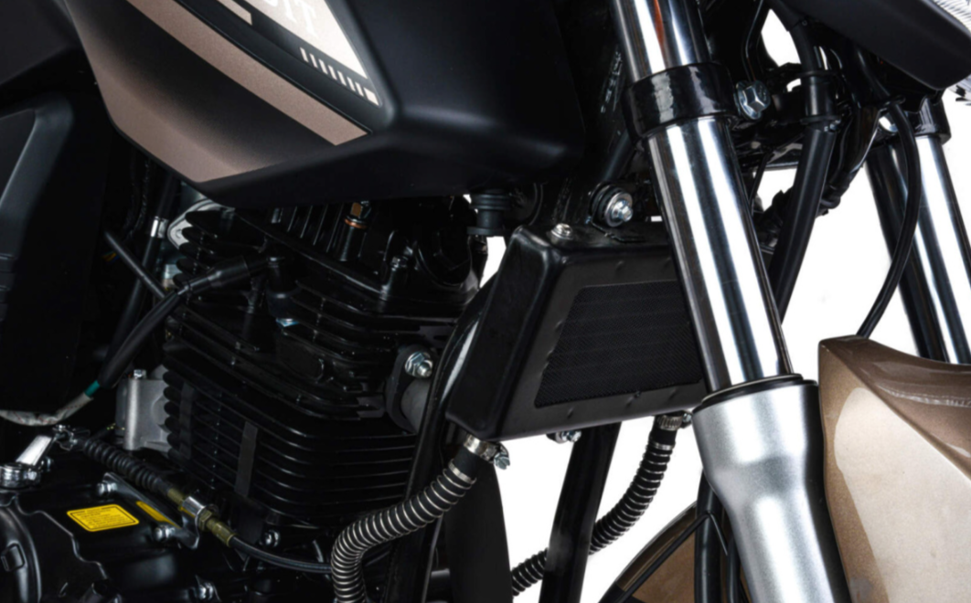 Мотоцикл MOTOLAND (МОТОЛЕНД) 300 BANDIT в Кирове