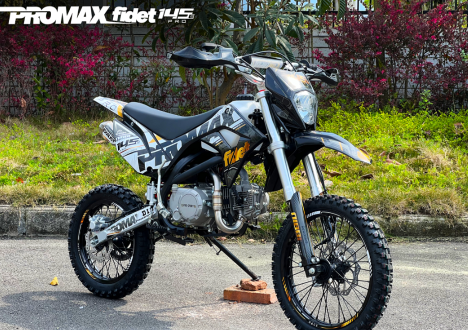 Мотоцикл (питбайк) PROMAX FIDET (ФАЙДЕТ) 145E PRO 17/14 в Кирове