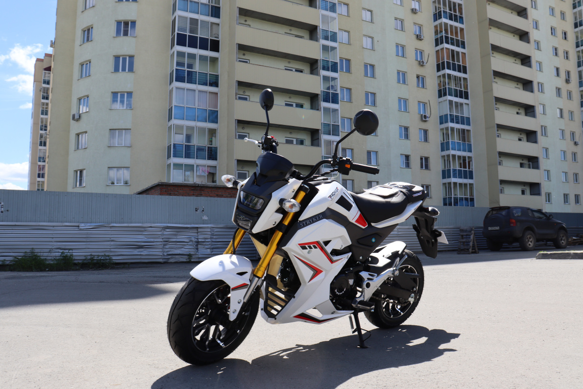 Мотоцикл PROMAX STRYKER 200(49) 2.0 в Кирове