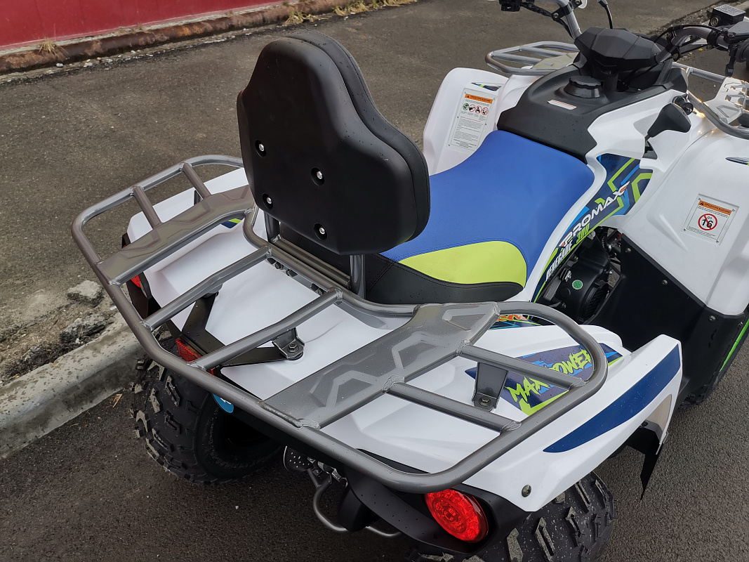 Квадроцикл PROMAX RENEGADE 280 LUX (2025) в Кирове