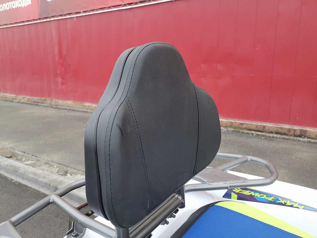 Квадроцикл PROMAX RENEGADE 280 LUX (2025) в Кирове