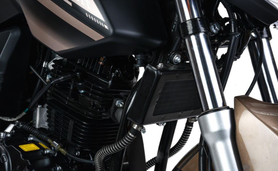 Мотоцикл MOTOLAND (МОТОЛЕНД) 300 BANDIT в Кирове