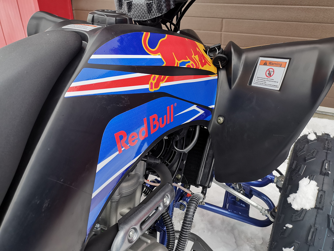 Квадроцикл PROMAX RAPTOR 300 NEW RedBull в Кирове