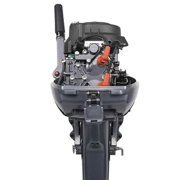 ЛОДОЧНЫЙ МОТОР ALLFA CG Т9,9 Limit в Кирове