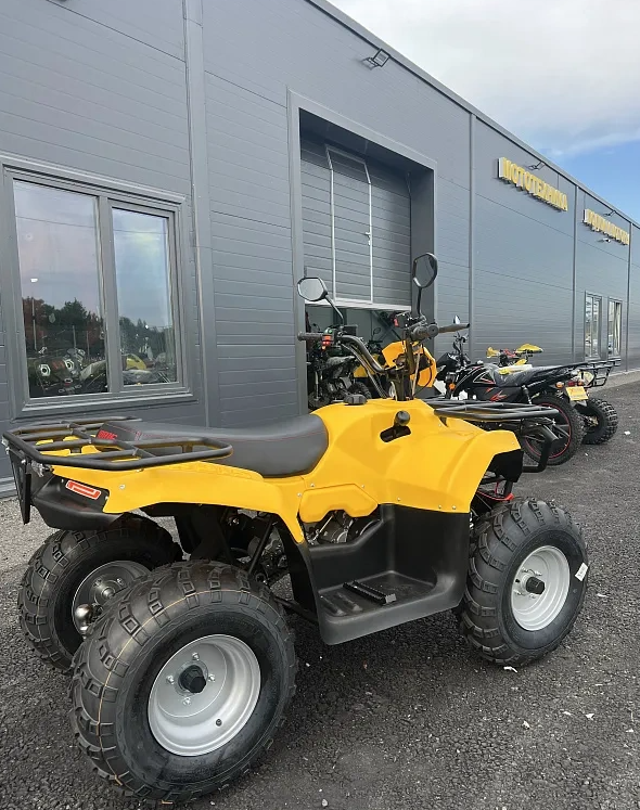 КВАДРОЦИКЛ IRBIS ATV 250  в Кирове