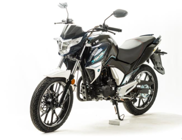 Мотоцикл MOTOLAND (МОТОЛЕНД) FIGHTER 250 в Кирове