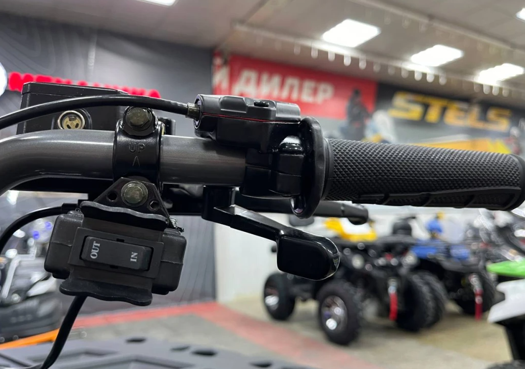 Квадроцикл PROMAX RENEGADE 300 LONG WINCH PRO (2025) в Кирове