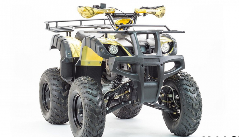 Квадроцикл MOTOLAND (МОТОЛЕНД) 250 ADVENTURE в Кирове