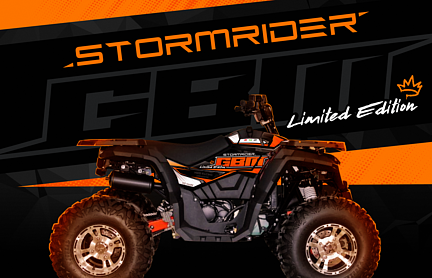 Квадроцикл GBM STORMRIDER 320 NEW LUX в Кирове