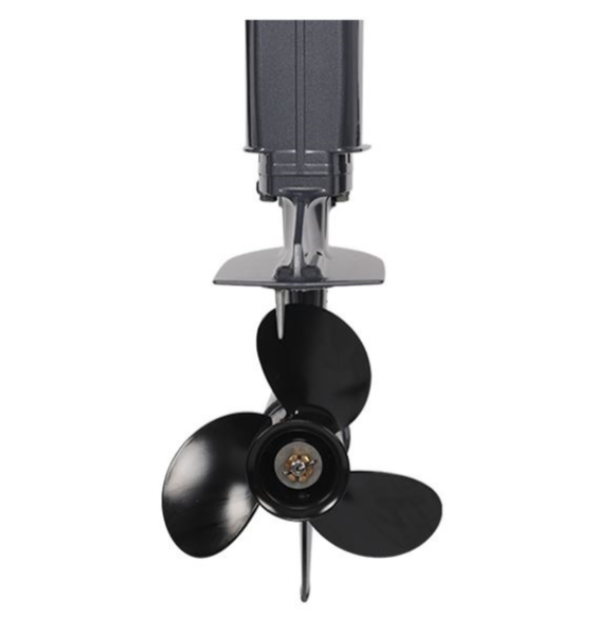 Лодочный мотор ALLFA CG Т40FW S в Кирове