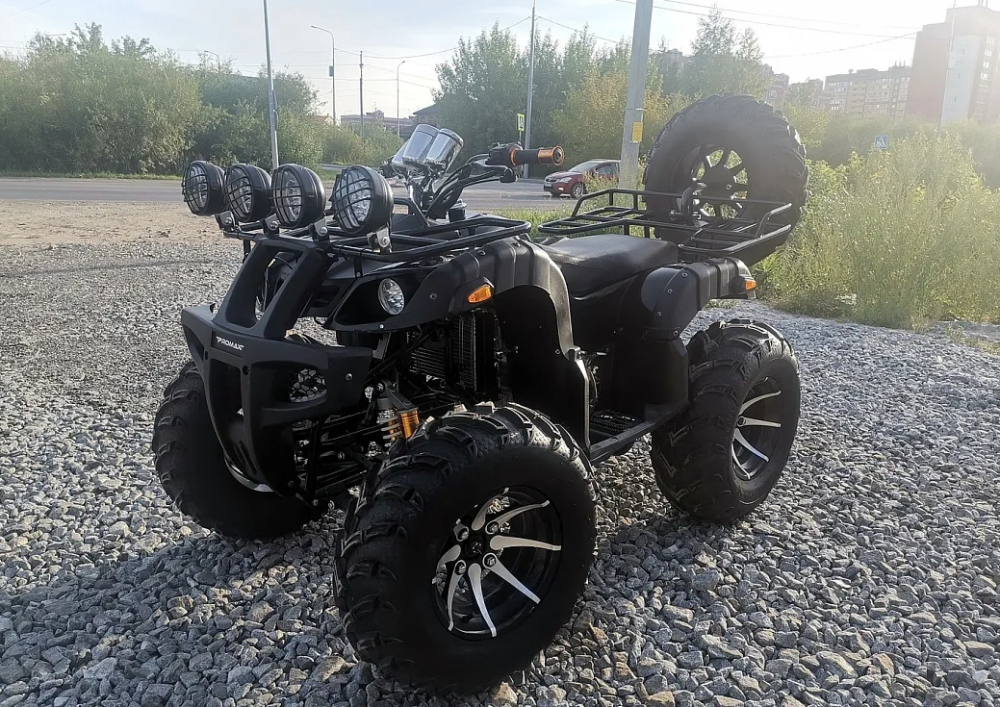 Квадроцикл PROMAX LEO 300 Max (кардан) в Кирове