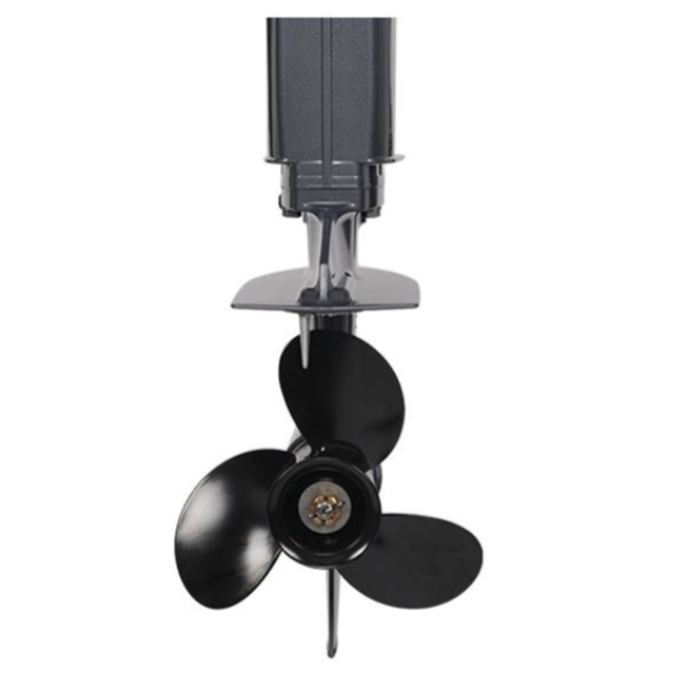 Лодочный мотор ALLFA CG Т40FWT S в Кирове