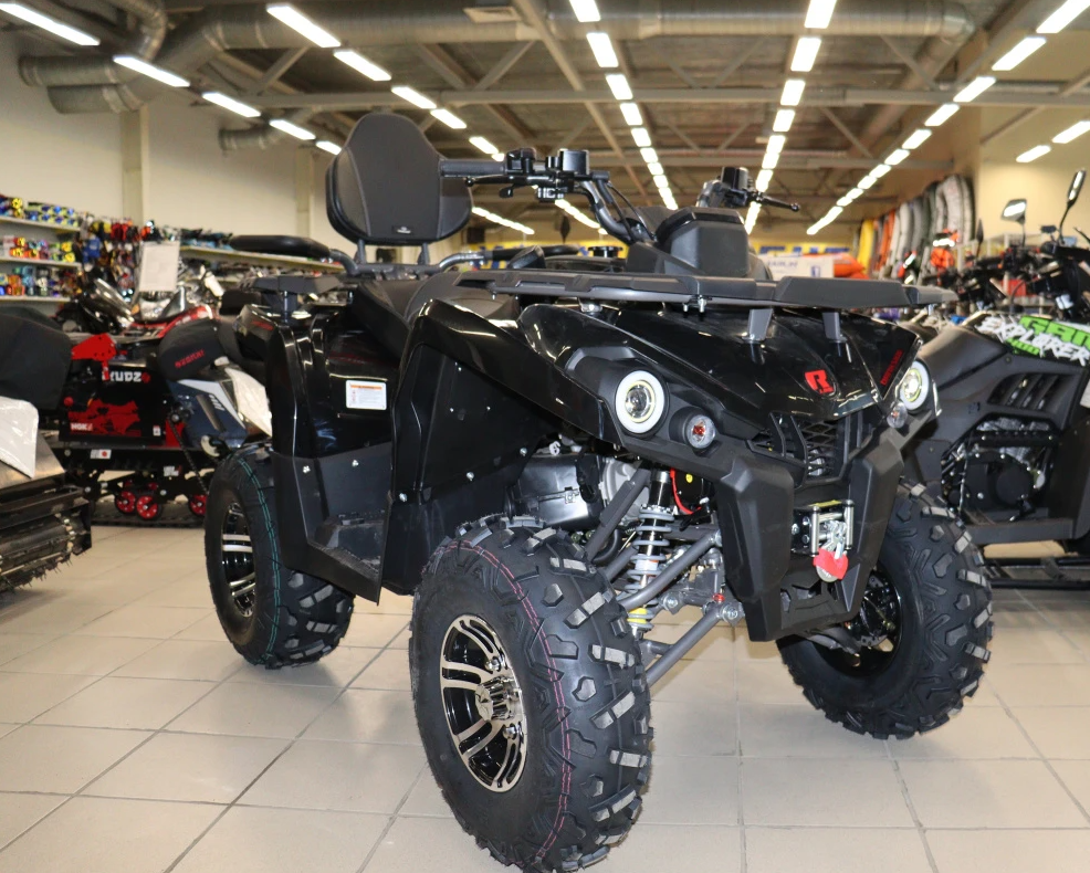 Квадроцикл PROMAX RENEGADE 300 LONG WINCH PRO (2025) в Кирове
