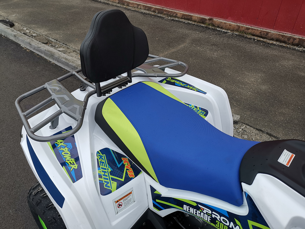 Квадроцикл PROMAX RENEGADE 280 LUX (2025) в Кирове
