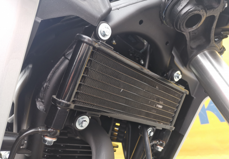 Мотоцикл MOTOLAND (МОТОЛЕНД) 250 CB250 (172FMM-5/PR250) (2022 г.) в Кирове