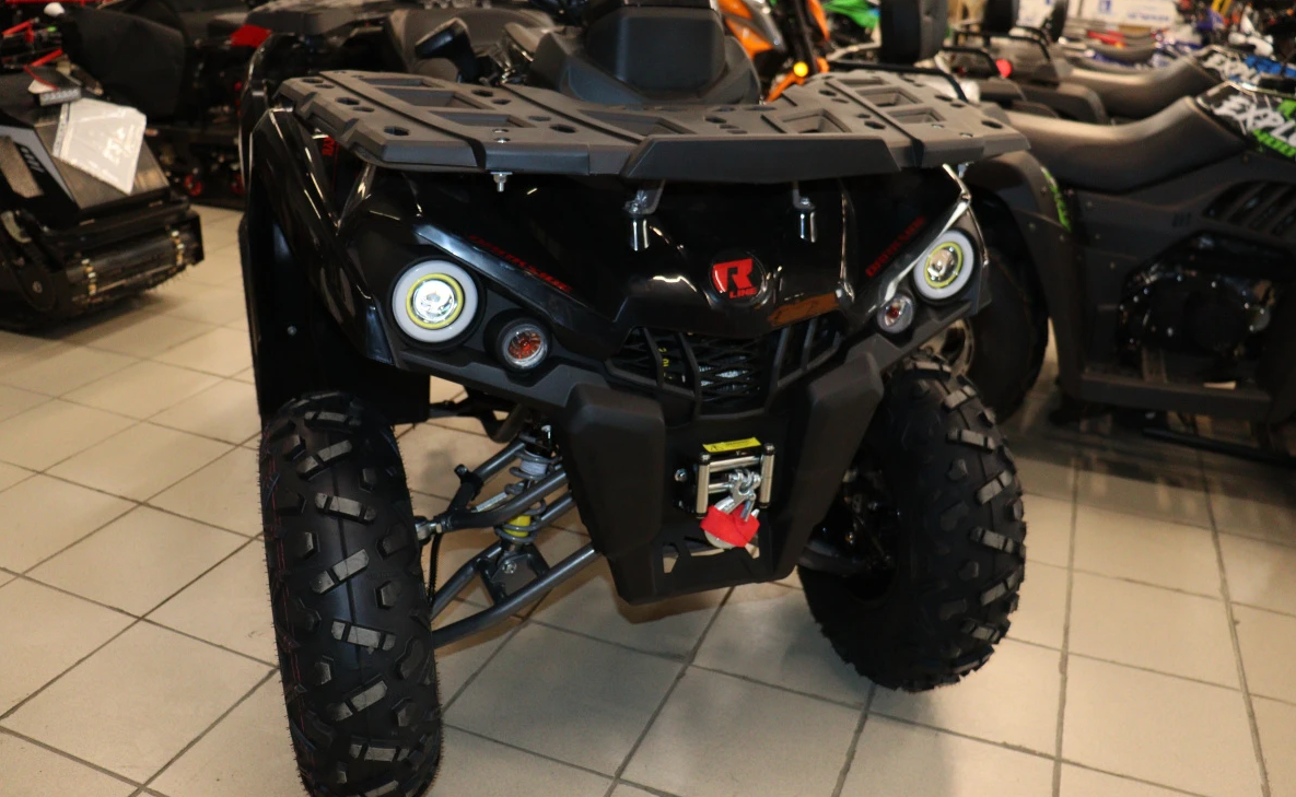 Квадроцикл PROMAX RENEGADE 300 LONG WINCH PRO (2025) в Кирове