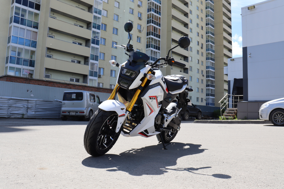 Мотоцикл PROMAX STRYKER 200(49) 2.0 в Кирове