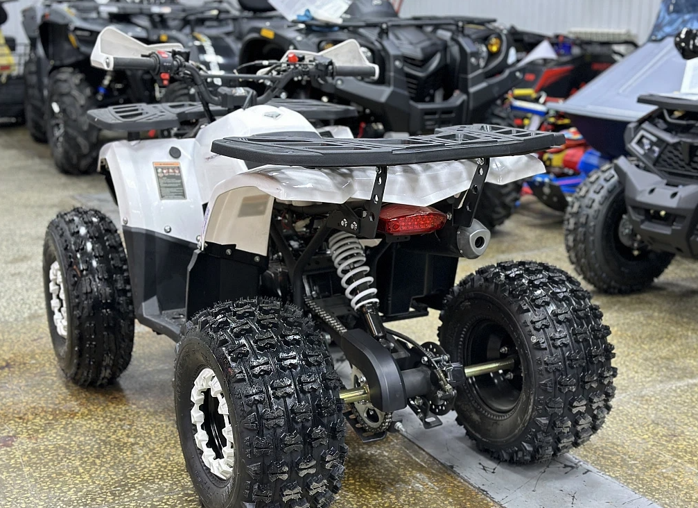 Квадроцикл PROMAX WILD 2.0 190 в Кирове