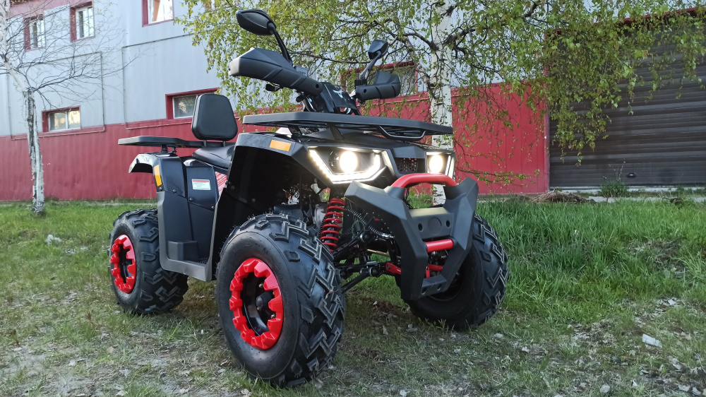Квадроцикл PROMAX WILD 300 LUX (2024) в Кирове