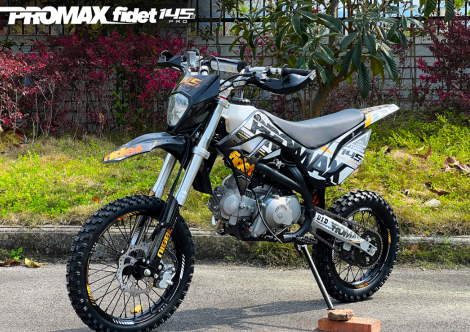 Мотоцикл (питбайк) PROMAX FIDET (ФАЙДЕТ) 145E PRO 17/14 в Кирове