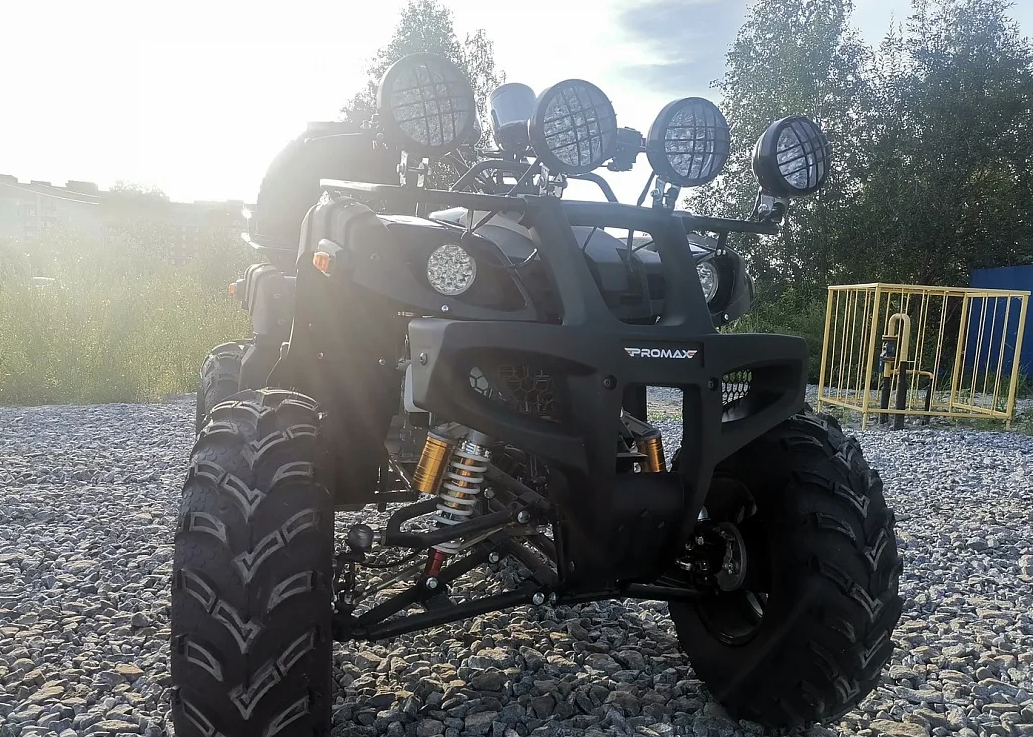 Квадроцикл PROMAX LEO 300 Max (кардан) в Кирове