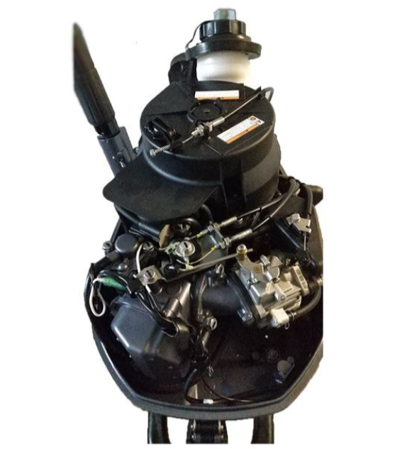 Лодочный мотор ALLFA CG F6 в Кирове