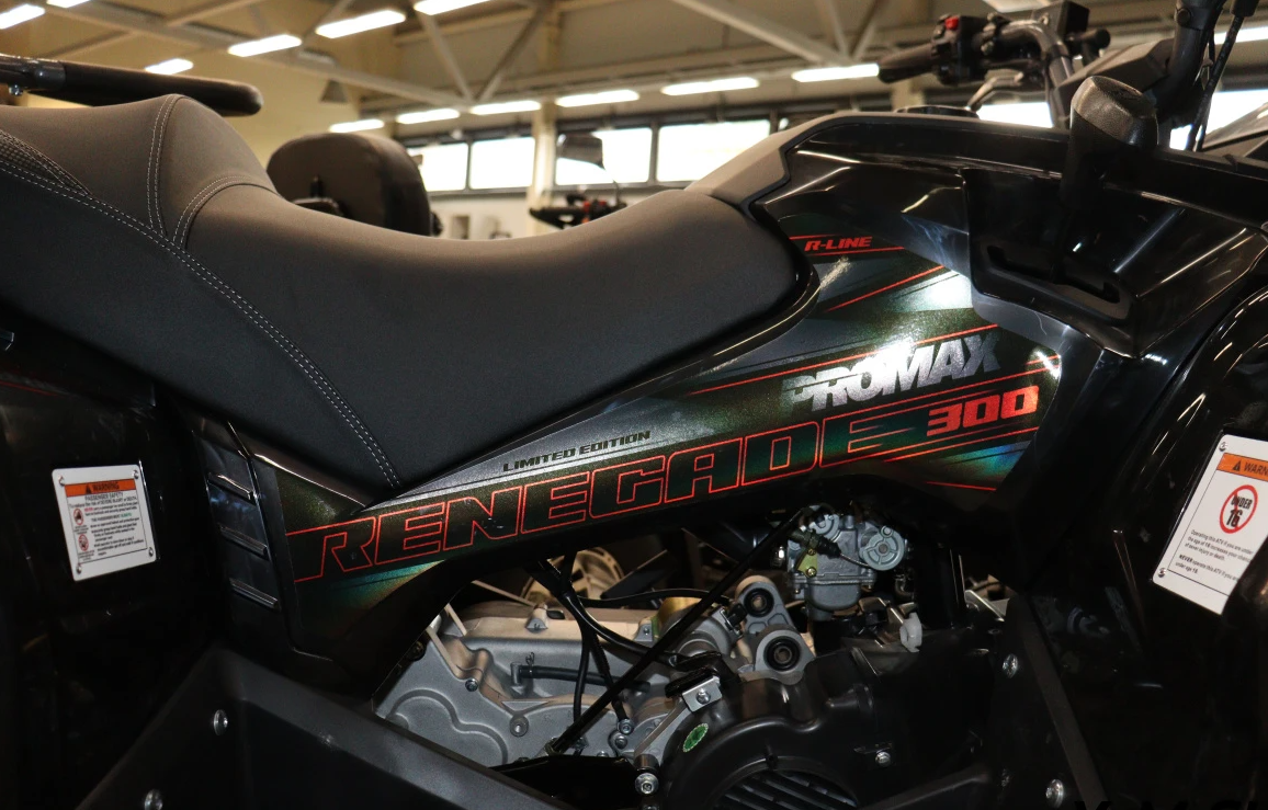 Квадроцикл PROMAX RENEGADE 300 LONG WINCH PRO (2025) в Кирове