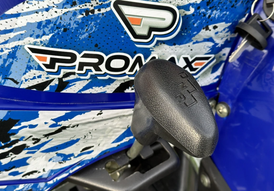  Квадроцикл PROMAX ATV 250 MAX (2025) в Кирове