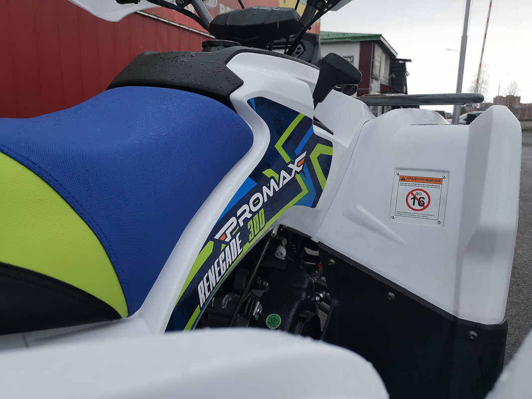Квадроцикл PROMAX RENEGADE 280 LUX (2025) в Кирове