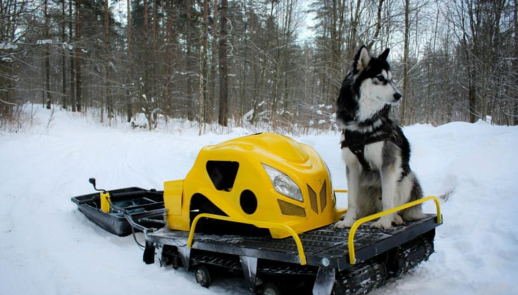 Мотобуксировщик LEBEDEV MOTORS ВОЛКОДАВ POWER V13 в Кирове
