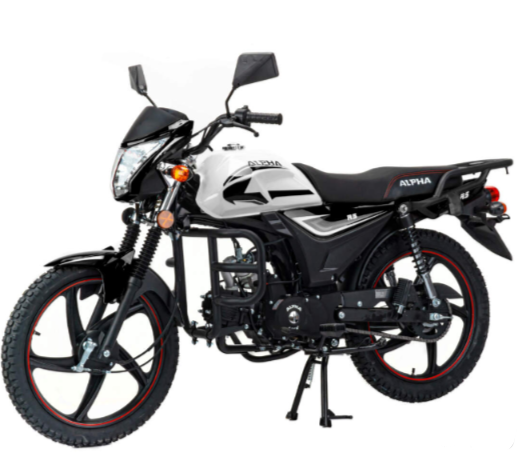 Мопед MOTOLAND (МОТОЛЕНД) Альфа RS 11 (LM48-B) в Кирове