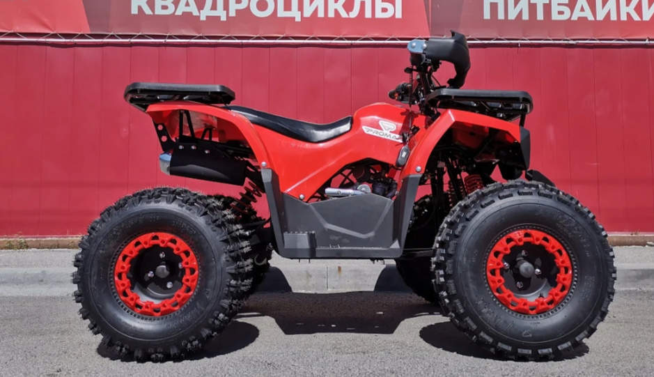 Квадроцикл PROMAX WILD 175 BASIC в Кирове