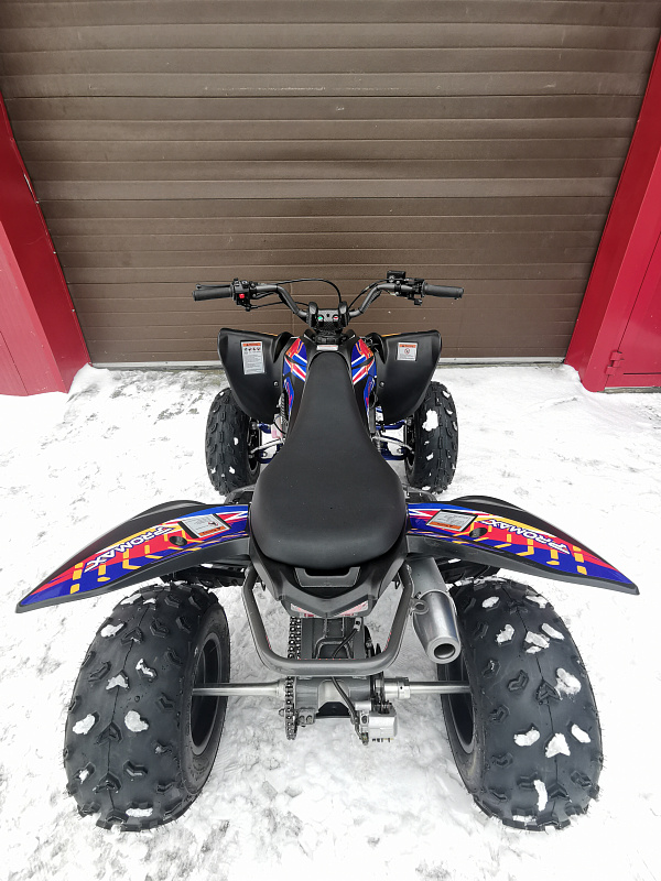 Квадроцикл PROMAX RAPTOR 300 NEW RedBull в Кирове