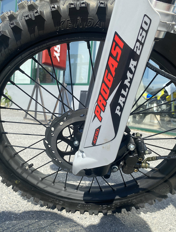 Мотоцикл Progasi PALMA 300 NEW (CB300F) в Кирове