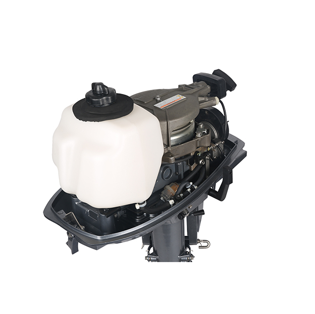 ЛОДОЧНЫЙ МОТОР ALLFA CG T5 в Кирове