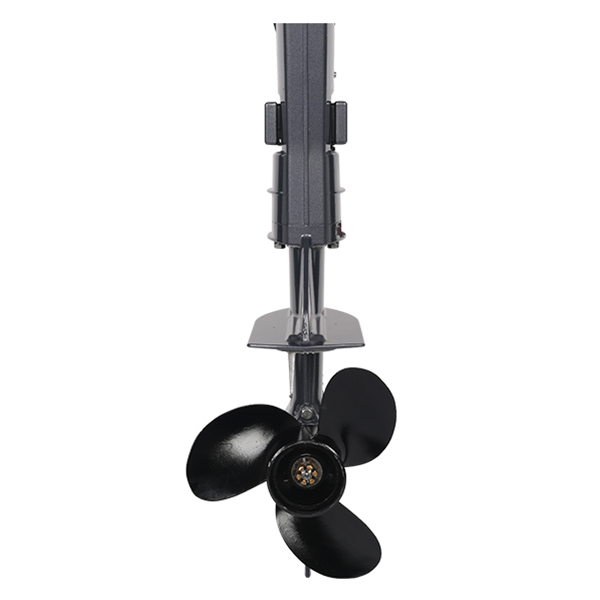 ЛОДОЧНЫЙ МОТОР ALLFA CG T5 в Кирове