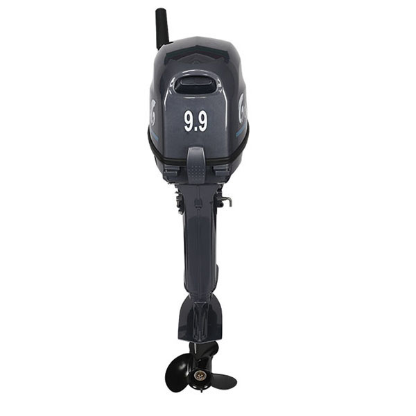 Лодочный мотор ALLFA CG Т9.9(20)MAX в Кирове