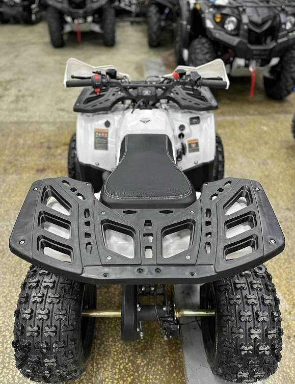 Квадроцикл PROMAX WILD 2.0 190 в Кирове