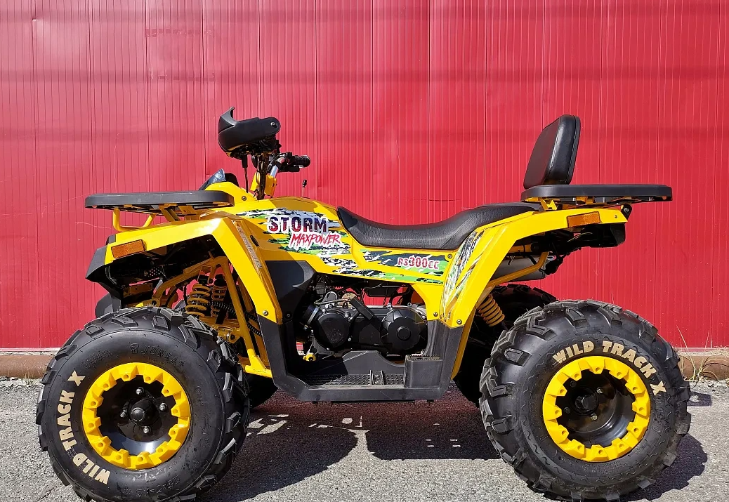 Квадроцикл PROMAX STORM 280 LUX в Кирове