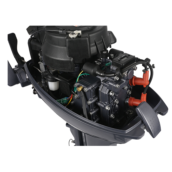 ЛОДОЧНЫЙ МОТОР ALLFA CG Т9,9 Limit в Кирове