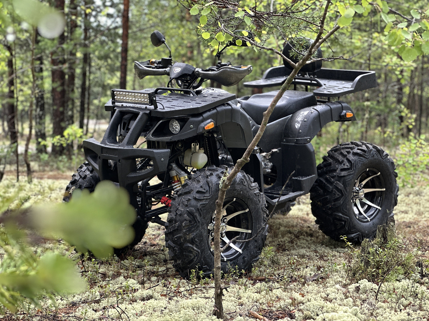 Квадроцикл PROMAX 320 DOMINATOR (2025) в Кирове