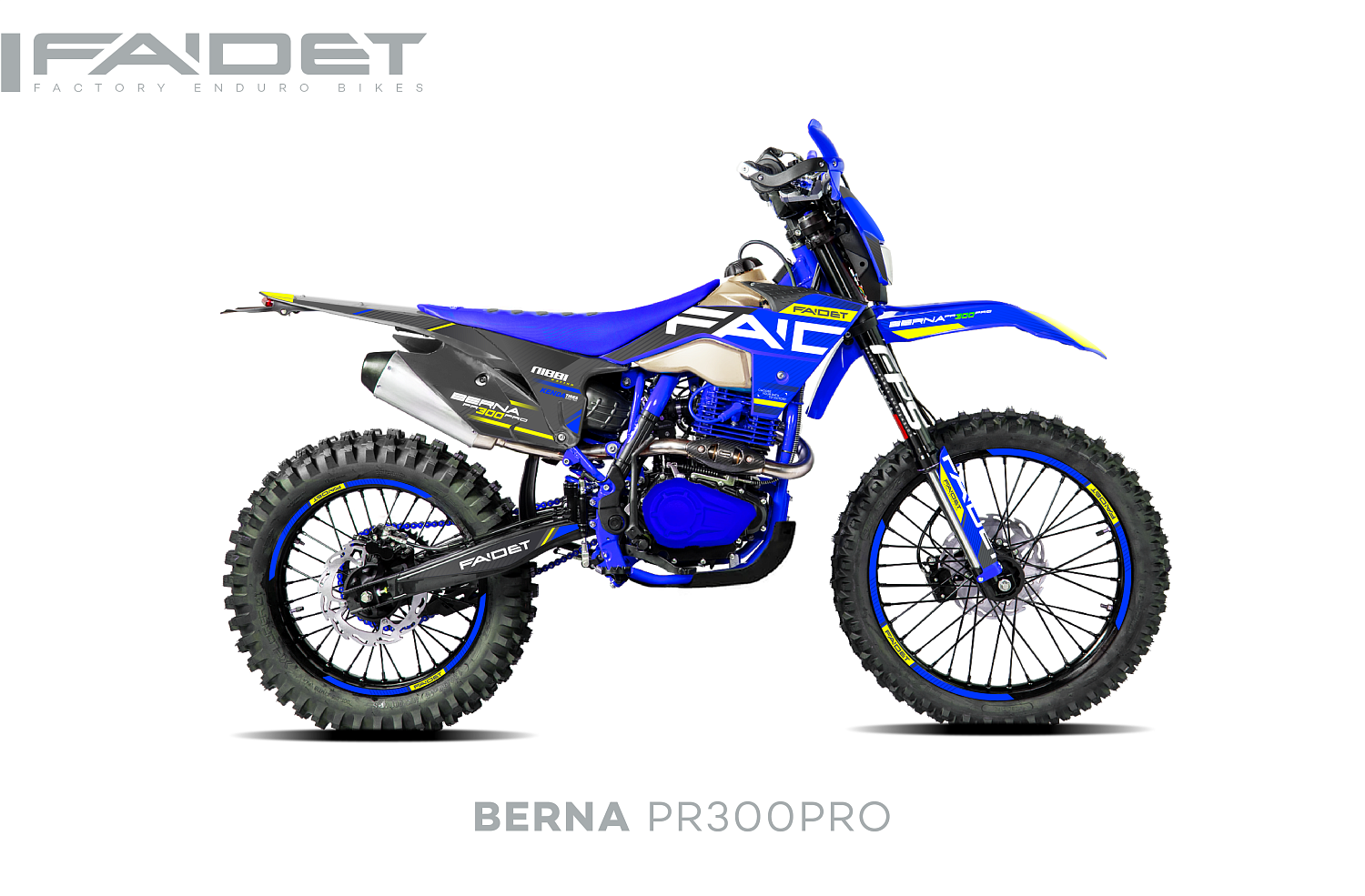 Кроссовый мотоцикл FAIDET BERNA PR300-PRO FPS в Кирове