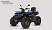 Квадроцикл PROMAX TAURUS 300 MAX-PRO LONG в Кирове
