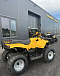 КВАДРОЦИКЛ IRBIS ATV 250  в Кирове
